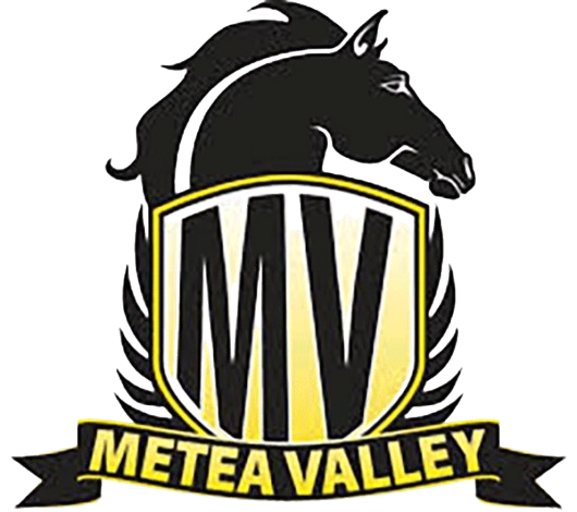 Metea Valley